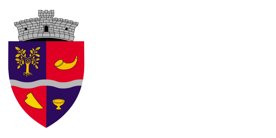 Primaria Buteni